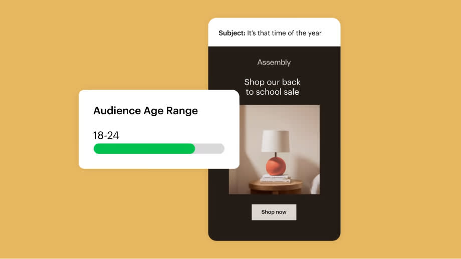 Example of Mailchimp user interface featuring a sample email and its target audience age range.